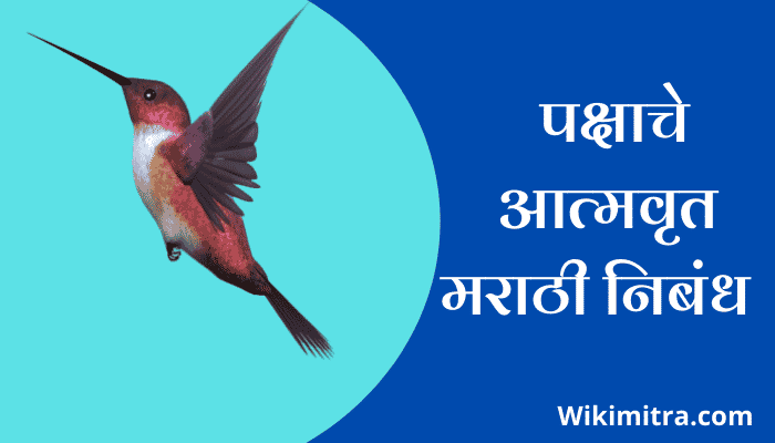 Autobiography Of A Bird Essay In Marathi