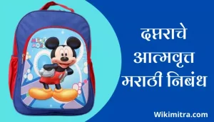 Autobiography Of A bag Essay In Marathi