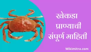 Crab Information In Marathi