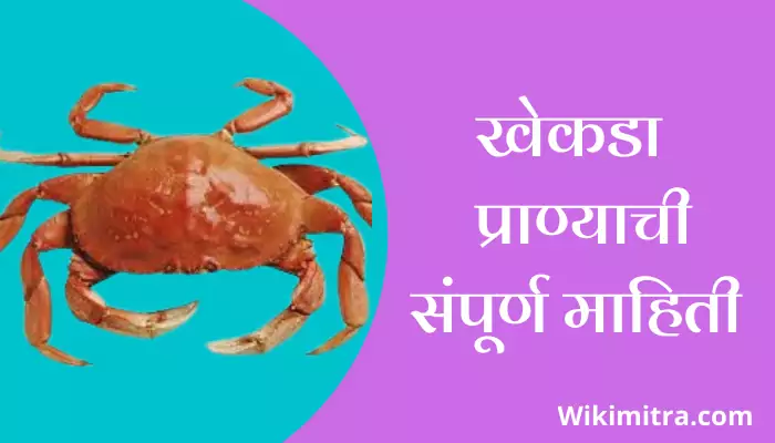 Crab Information In Marathi