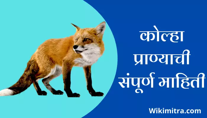  Fox Information In Marathi