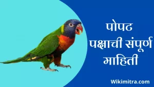 Parrot Bird Information In Marathi