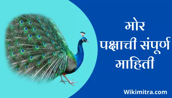 Peacock Bird Information In Marathi