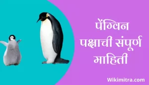 Penguin Information In Marathi