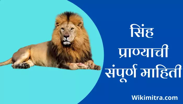 lion Information In Marathi