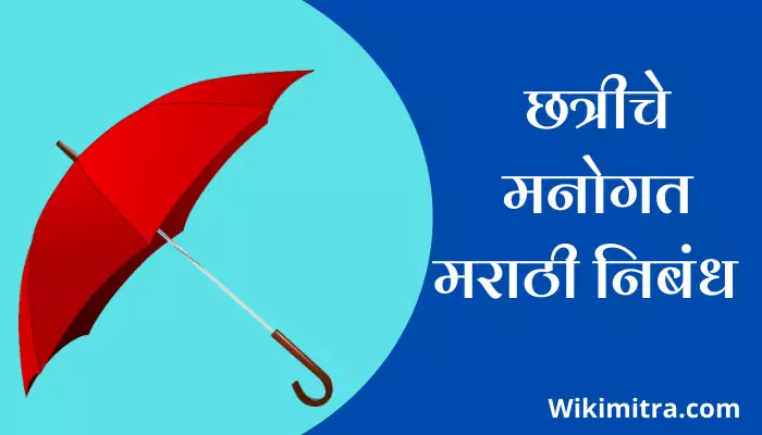 छत्रीचे मनोगत मराठी निबंध