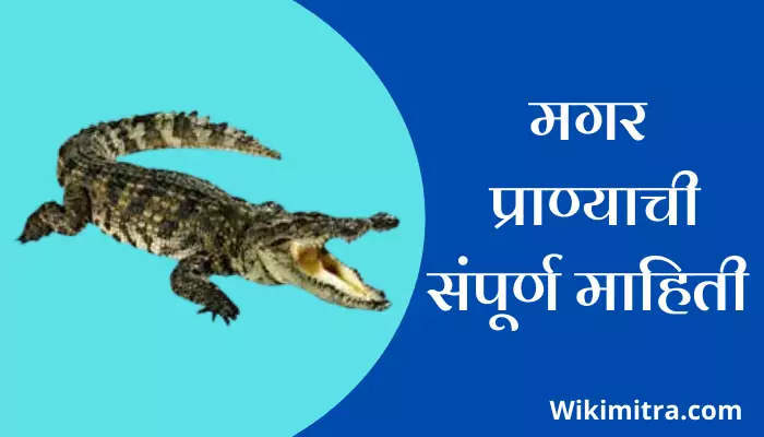 Crocodile Information In Marathi