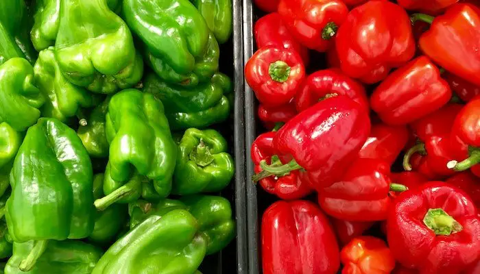 Shimla Mirchi Recipe in Marathi