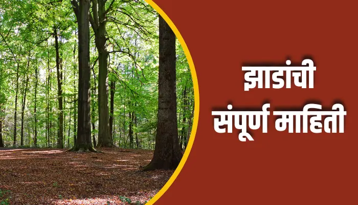 झाडांची संपूर्ण माहिती Trees Information In Marathi 1 Trees Information In Marathi
