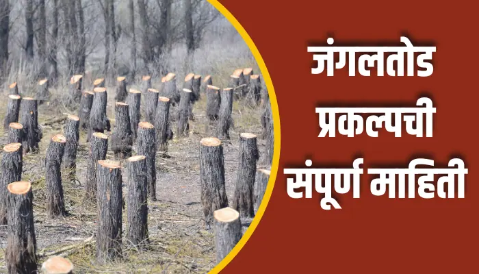 Deforestation Project Information In Marathi