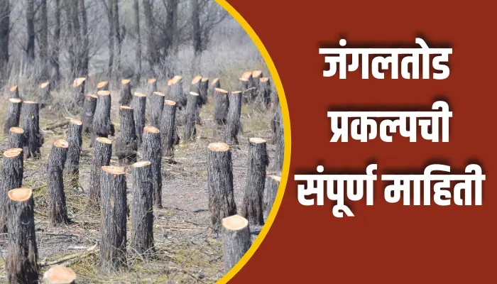 जंगलतोड प्रकल्पची संपूर्ण माहिती Deforestation Project Information In Marathi 1 Deforestation Project Information In Marathi
