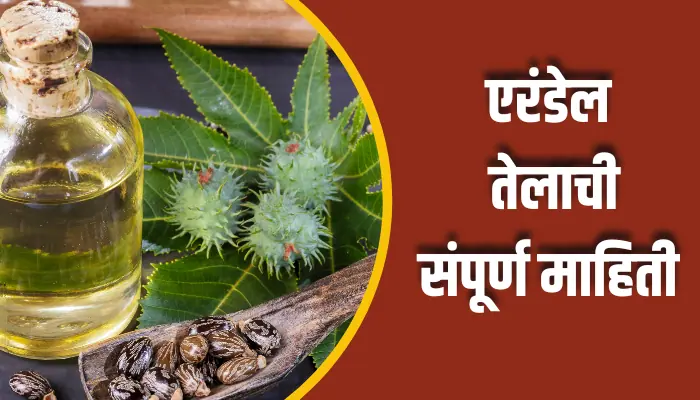 एरंडेल तेलाची संपूर्ण माहिती Castor Oil Information In Marathi 1 Castor Oil Fort Information In Marathi