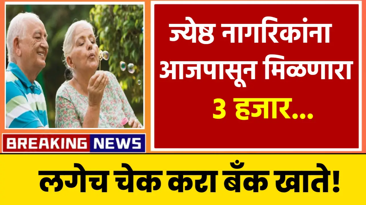 senior citizen yojana