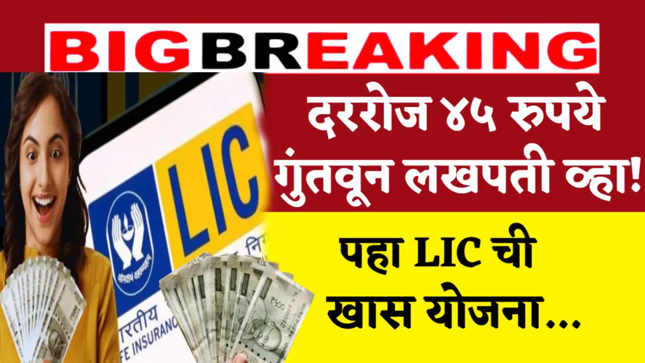 lic term deposit special yojana