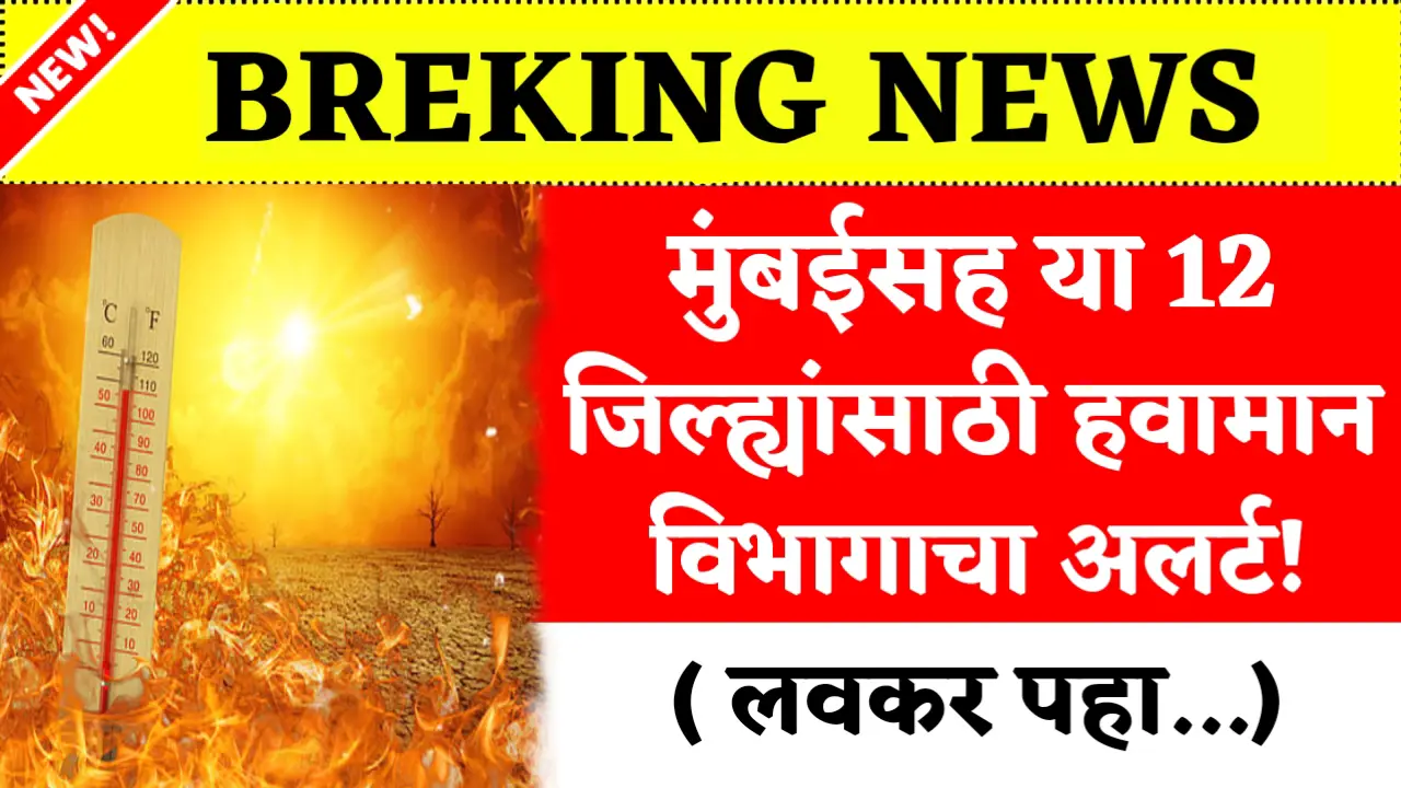 Meteorological Department alert for 12 districts