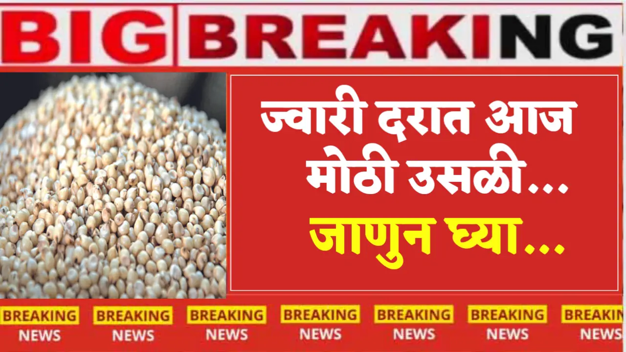 jwari market rate today